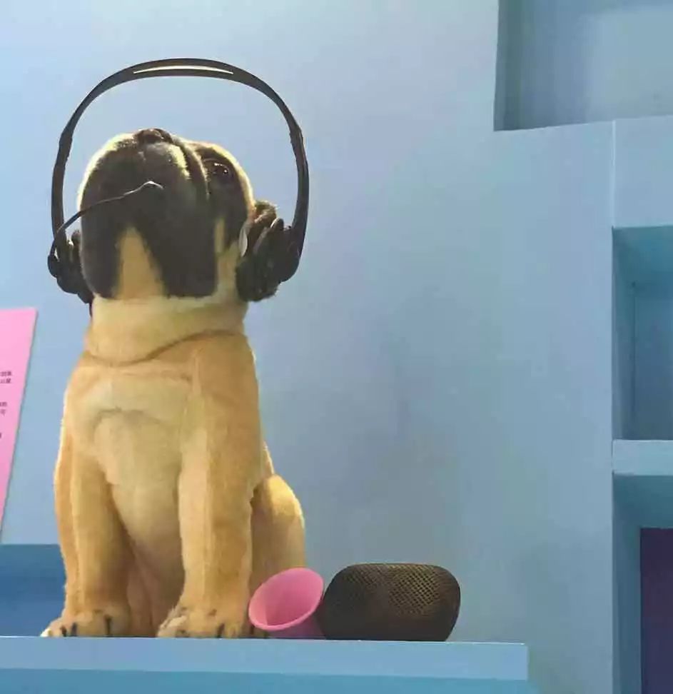 宜家也失手过!我去看了风靡全球的失败博物馆,受益匪浅