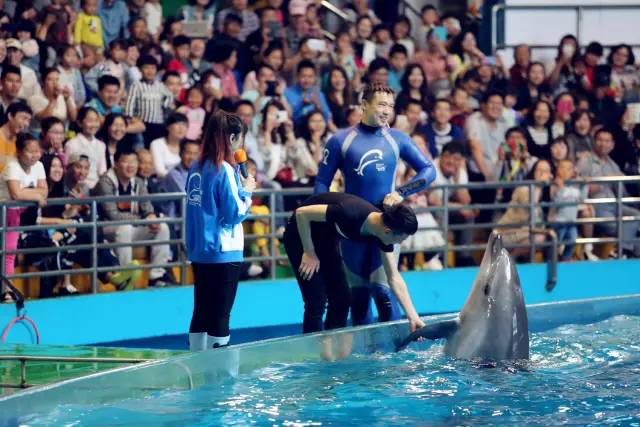 青岛海昌极地海洋公园游玩攻略,听海青岛栈桥