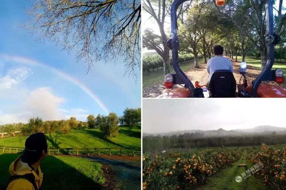 移民新西兰当工人,移民新西兰南部当农民