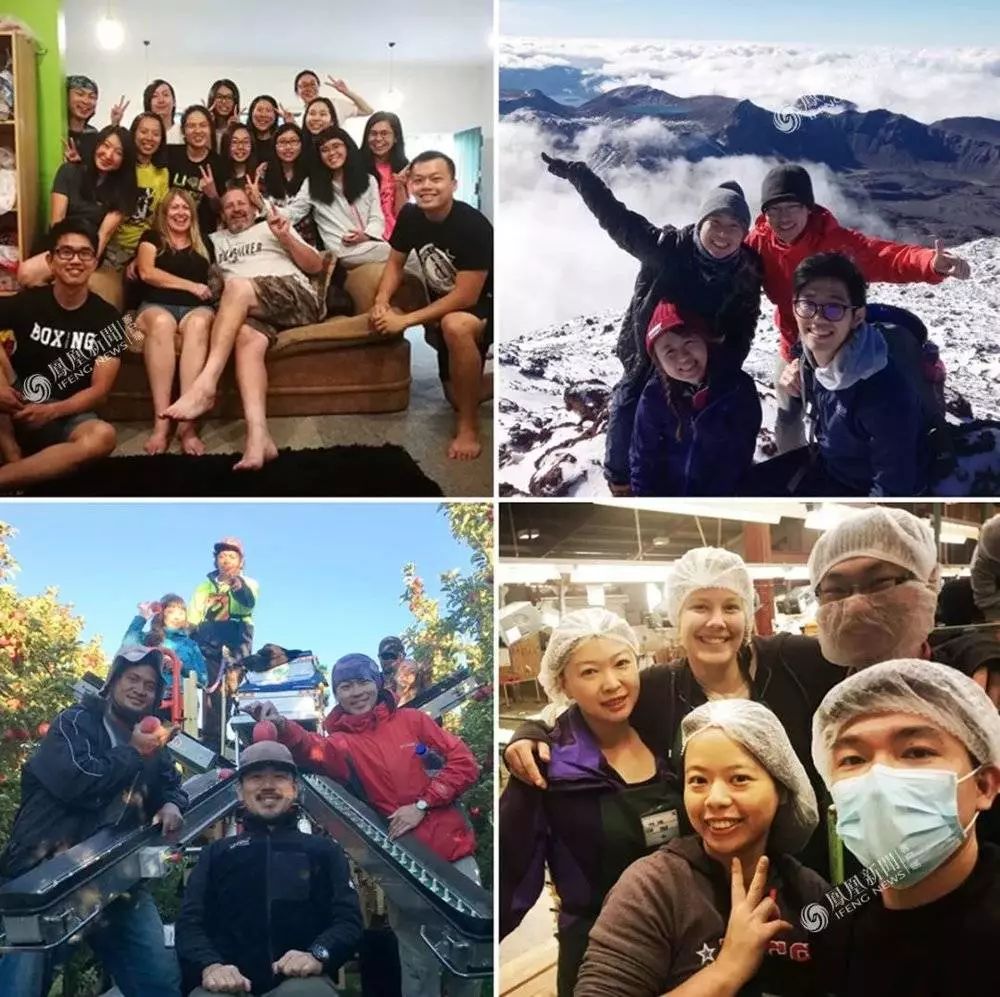 移民新西兰当工人,移民新西兰南部当农民