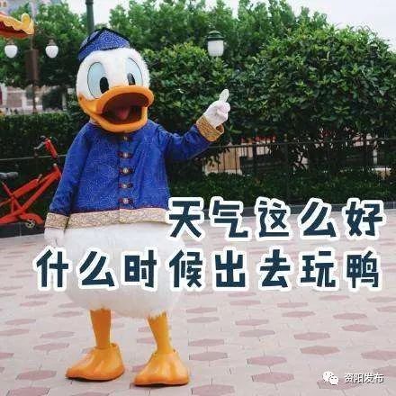 资阳客运中心大年三十、初一发班时刻表