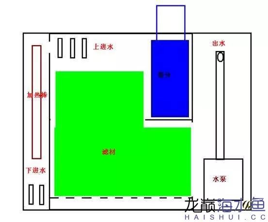 阿凡达神仙鱼的饲养方法,野生埃及神仙鱼饲养条件