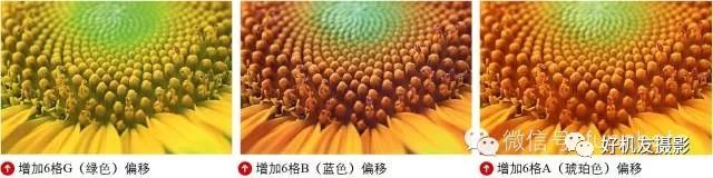 佳能尼康相机白平衡设置,佳能白平衡用户自定义什么意思