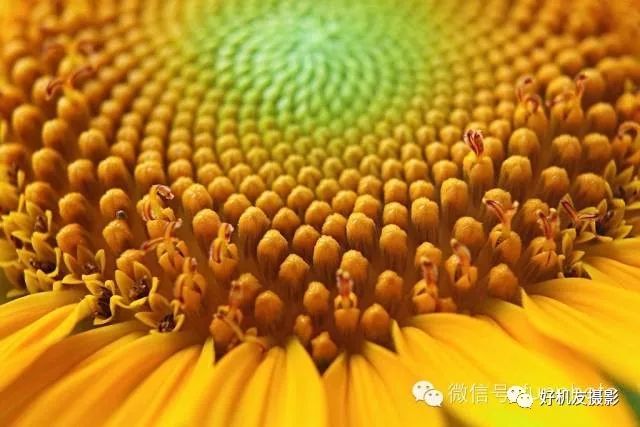 佳能尼康相机白平衡设置,佳能白平衡用户自定义什么意思