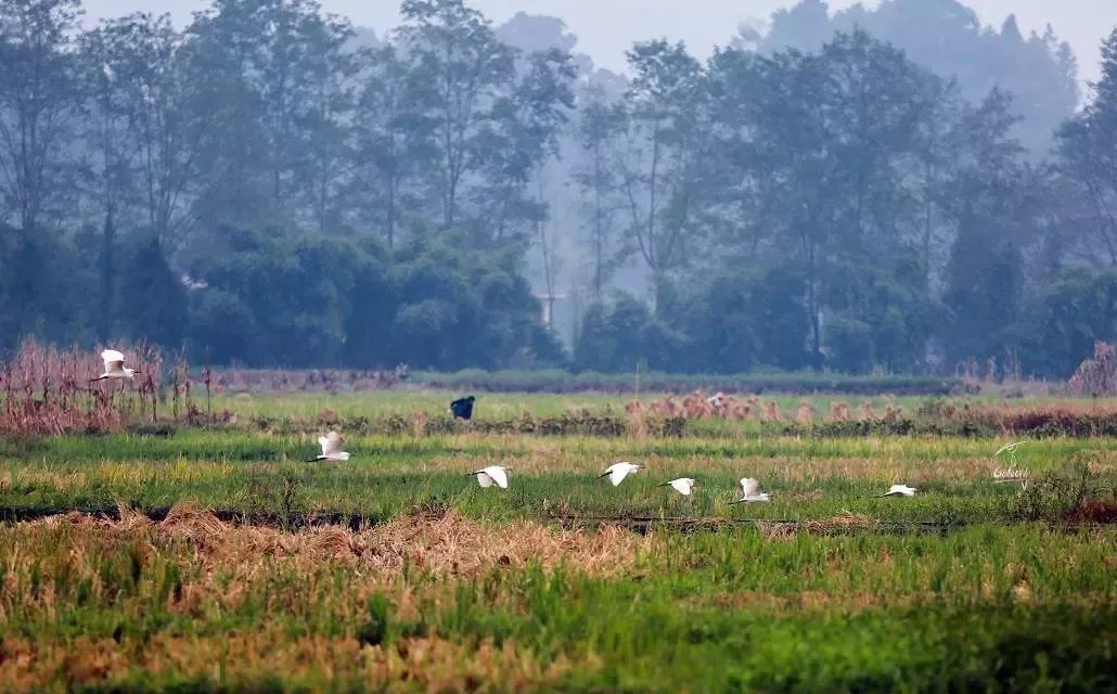 当你老了你愿意去养老院度过吗,当你老了养老