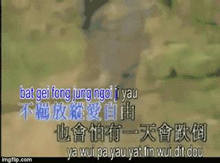 「青分享」一张KTV歌单，一场怀旧趴体