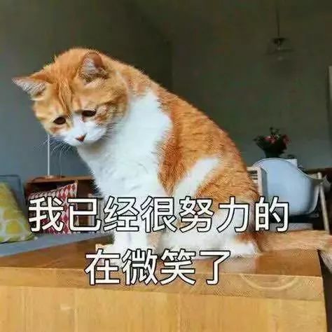 再上六天班就要集体放假,再上3天班就放假但有坏消息