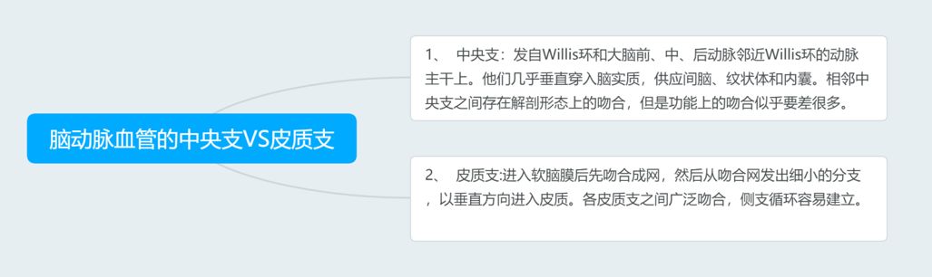 脑血管解剖与分段详解ppt,内科脑血管疾病思维导图