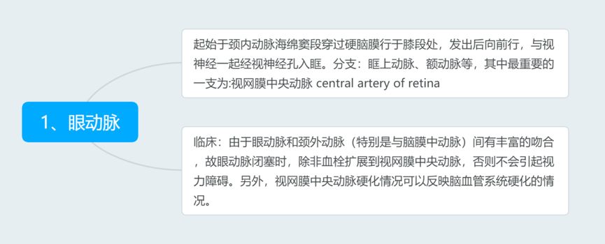 脑血管解剖与分段详解ppt,内科脑血管疾病思维导图