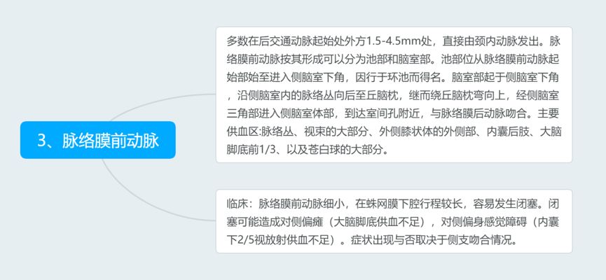脑血管解剖与分段详解ppt,内科脑血管疾病思维导图