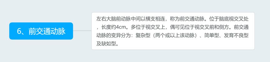 脑血管解剖与分段详解ppt,内科脑血管疾病思维导图