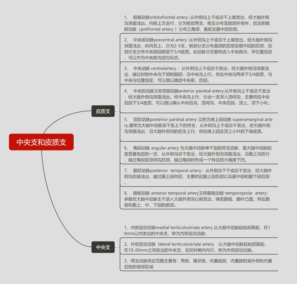 脑血管解剖与分段详解ppt,内科脑血管疾病思维导图