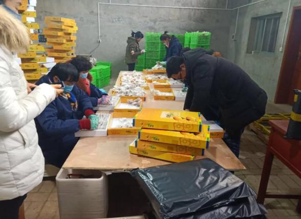 快手赚钱的途径有哪些,快手上的赚钱方法可靠吗