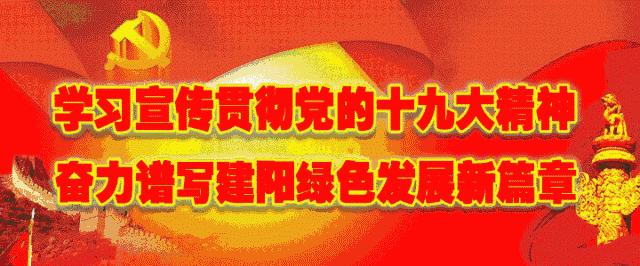 建阳传销案件,南平建阳交友诈骗团伙