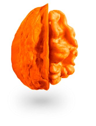 核桃的商业运用,想经营大枣核桃类干货该怎样进货