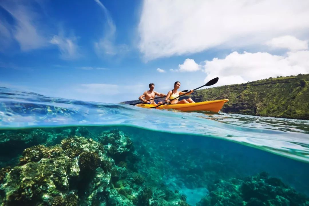 1200㎡透明泳池小红书点赞100w+,这家黄金海岸边的酒店才是海岛季首选