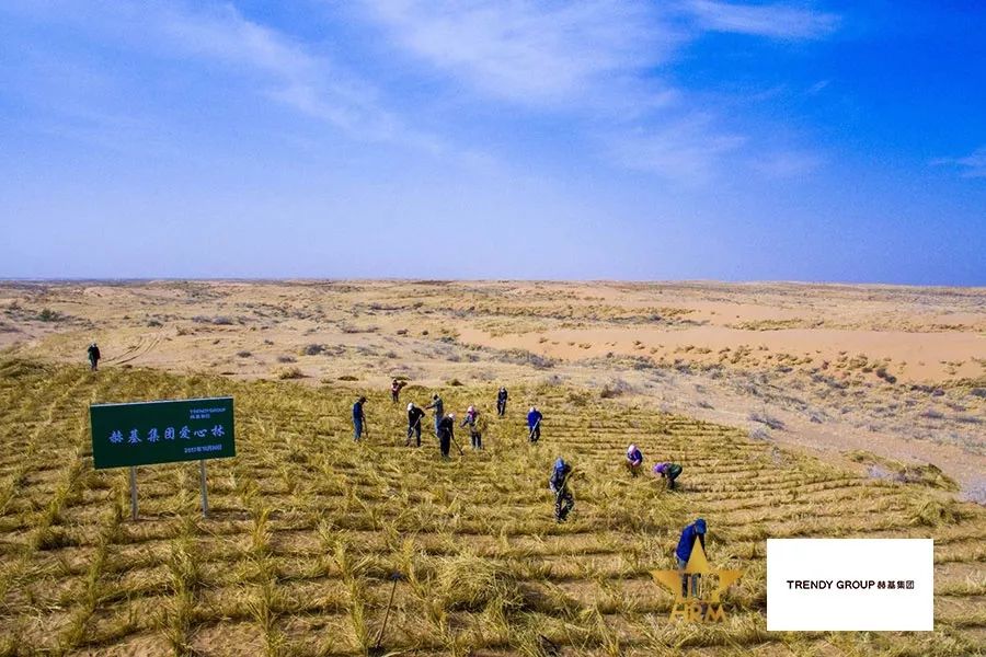 杰出雇主探访,杰出雇主公司工作是什么体验