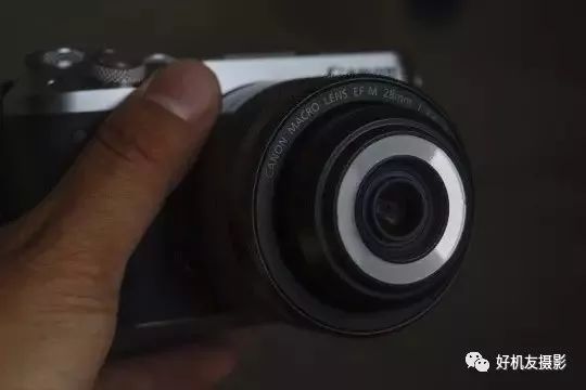 新手必须掌握的7个微距摄影技巧,光影留情谈微距拍摄技巧