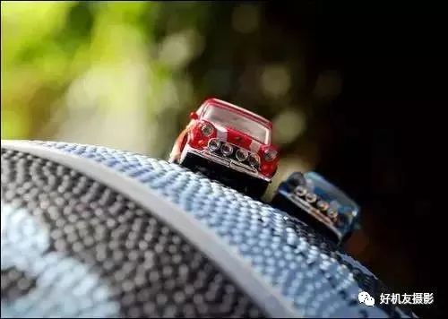 新手必须掌握的7个微距摄影技巧,光影留情谈微距拍摄技巧