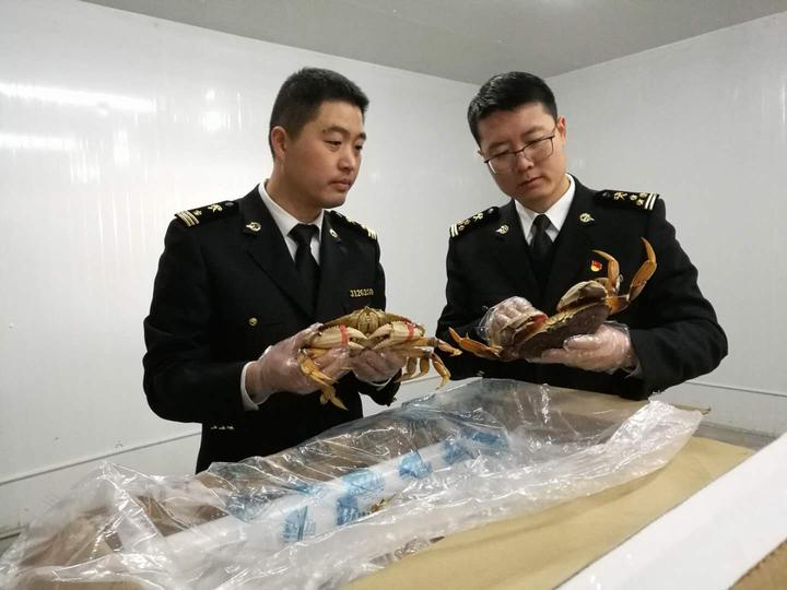 进口年货走俏西部陆海新通道,宁波进口年货