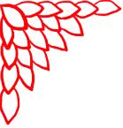 走进荷兰“花花世界”，五大赏花攻略总有一款适合您！骑行/直升机，逛花园花田，跟着花农的脚步走过这个春天