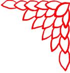 走进荷兰“花花世界”，五大赏花攻略总有一款适合您！骑行/直升机，逛花园花田，跟着花农的脚步走过这个春天