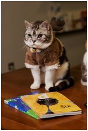 2024年好看的旅行杂志,好看的旅游杂志推荐