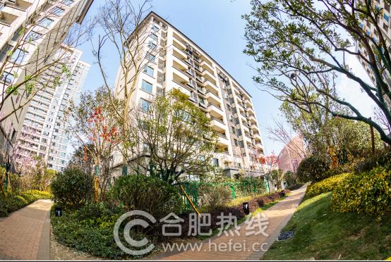 祥源金港湾最新视频,祥源金港湾楼盘怎么样