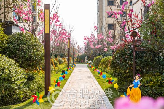 祥源金港湾最新视频,祥源金港湾楼盘怎么样