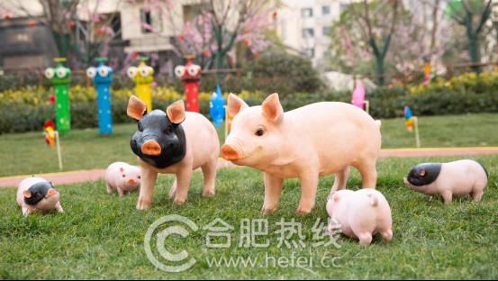 祥源金港湾最新视频,祥源金港湾楼盘怎么样