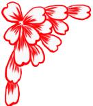 走进荷兰“花花世界”，五大赏花攻略总有一款适合您！骑行/直升机，逛花园花田，跟着花农的脚步走过这个春天