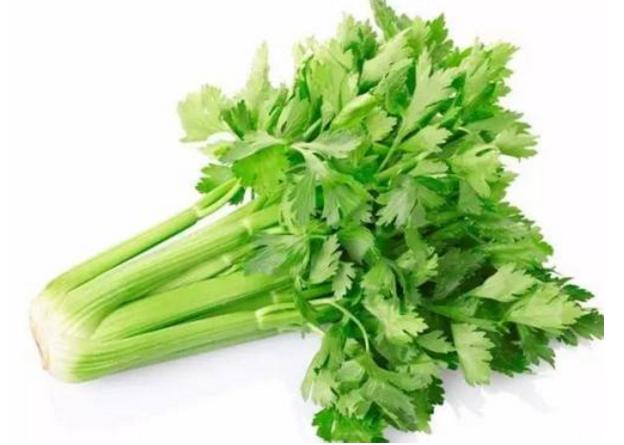 芹菜可食用部分是茎还是叶,芹菜也能炖着吃吗