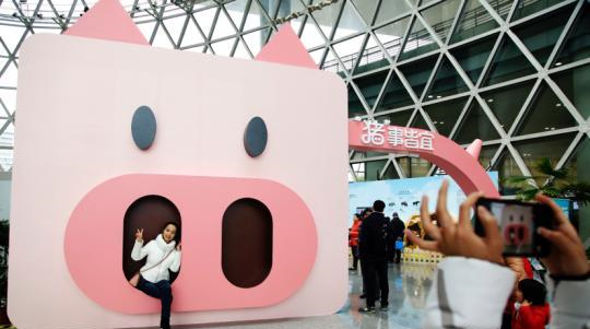 上海科技馆猪年生肖特展探索关于猪的文化渊源