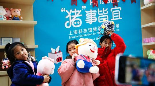 上海科技馆猪年生肖特展探索关于猪的文化渊源
