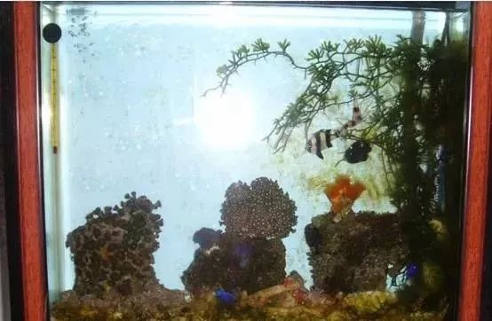 海缸基础知识大全,海缸知识大全图解