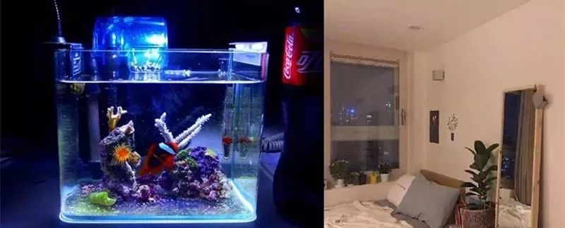 海缸基础知识大全,海缸知识大全图解