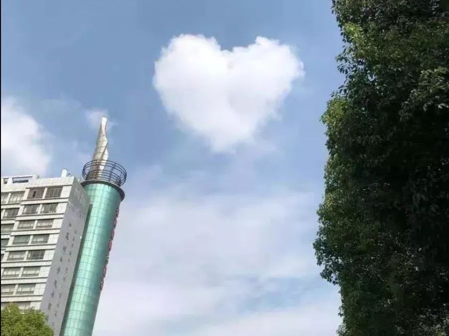 常州大学院校排名前十名,常州十大高校