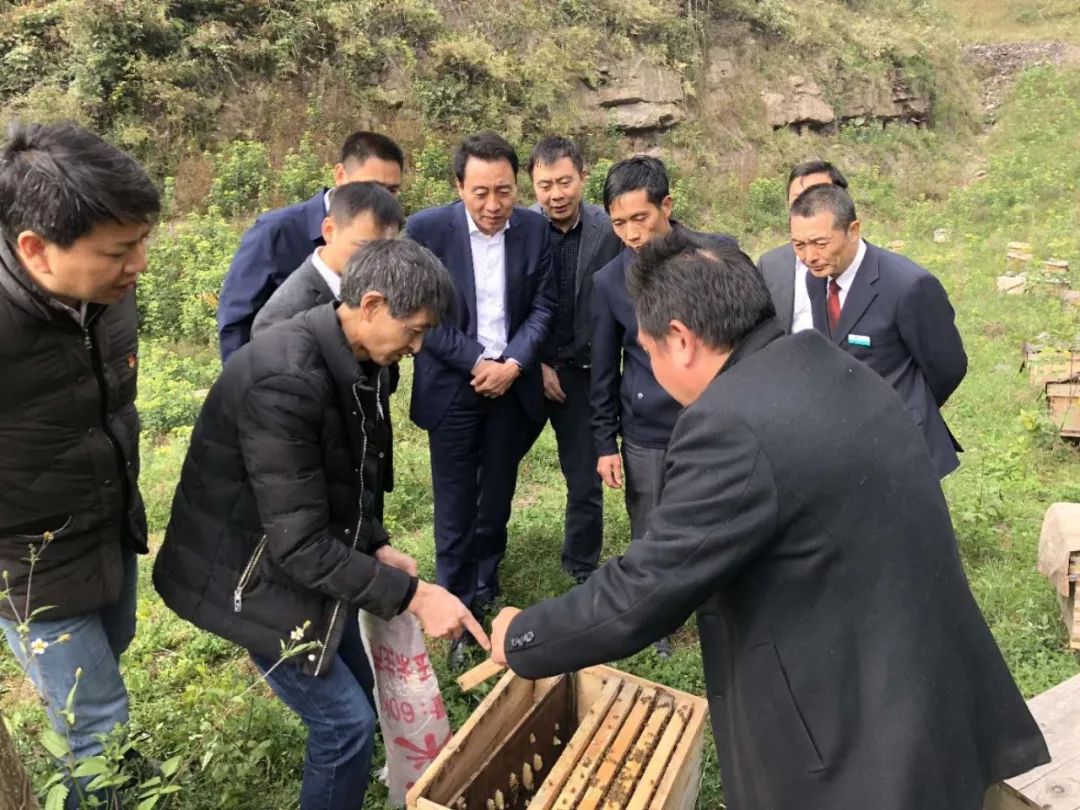 改革新思路重庆农行探索打造“三变”重庆版