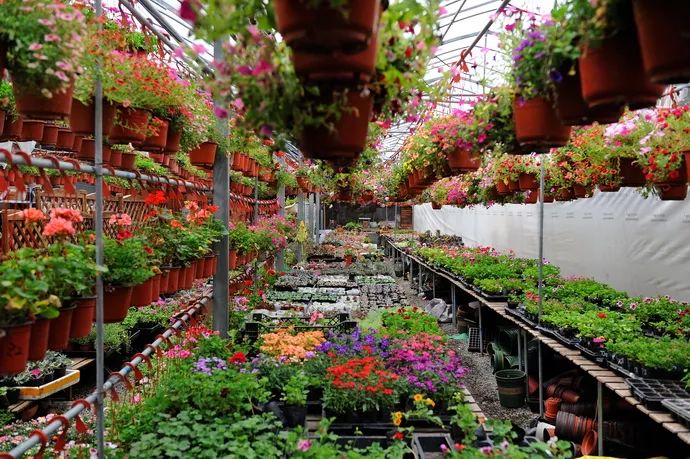 洛阳年货大集攻略,洛阳赶集市时间表