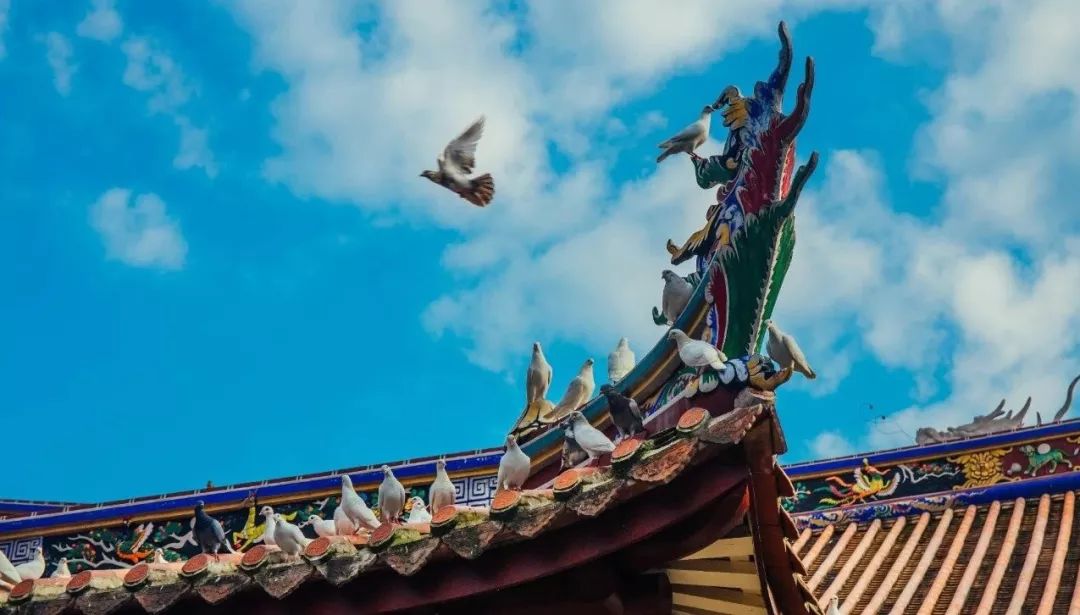 集五福沾福气什么都没沾到,集五福却没有抽福卡的机会怎么办