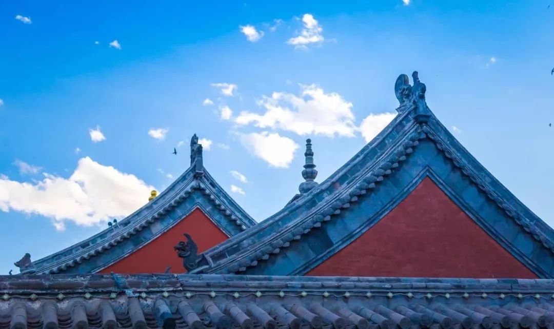 集五福沾福气什么都没沾到,集五福却没有抽福卡的机会怎么办