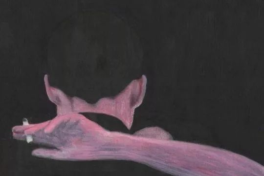 你好啊，我的企鹅姑娘