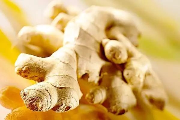 家里阳台春季可种20种蔬菜,阳台上适合种哪些蔬菜好看又营养