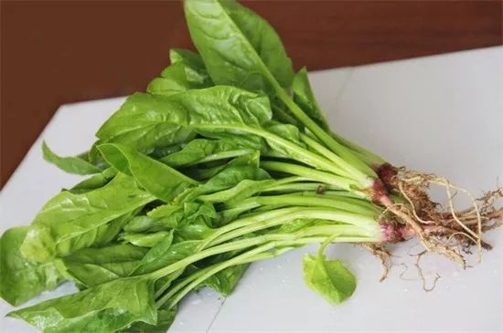 家里阳台春季可种20种蔬菜,阳台上适合种哪些蔬菜好看又营养