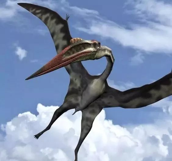 恐龙时代霸主翼龙,翼龙是不是恐龙时期的空中霸主