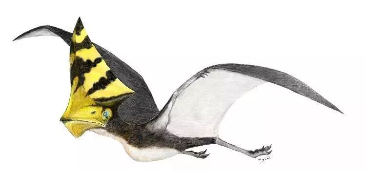 恐龙时代霸主翼龙,翼龙是不是恐龙时期的空中霸主