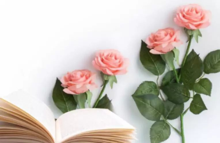 亲爱的爸爸妈妈你们好吗谁唱的,亲爱的爸爸妈妈你们好吗纯音乐