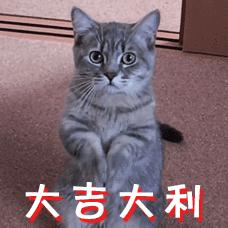 新年的德语表达,德语春节怎么说