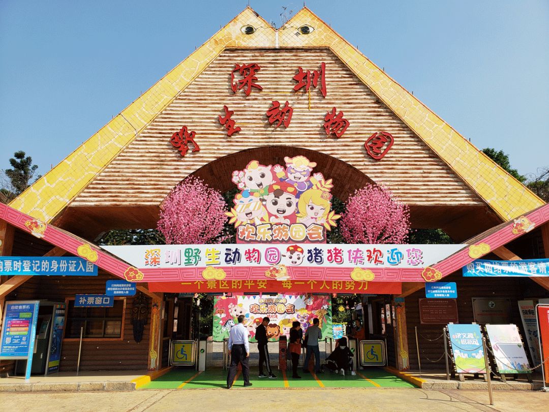 猪猪侠进入熊出没世界,猪猪侠限量金猪