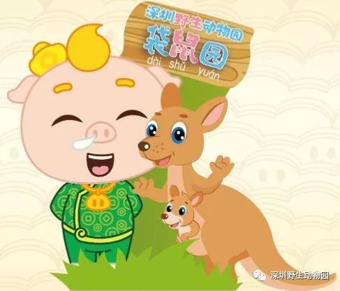 猪猪侠进入熊出没世界,猪猪侠限量金猪